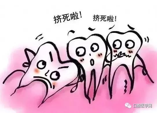 智齒，係人類進化史上嘅一個類似於 Bug 嘅存在。