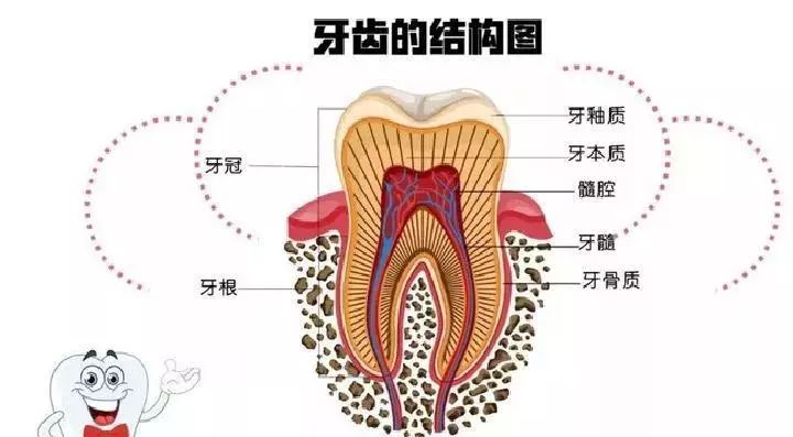 牙洞唔補反而根管治療？