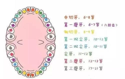 孩子換牙年齡提前，早熟？