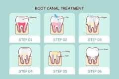 杜牙根嘅作用系乜？