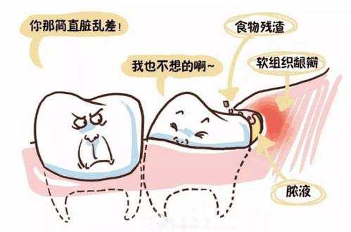 珠海mok智慧齒收費