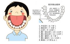 寶寶的乳牙和恒牙，該點取舍？