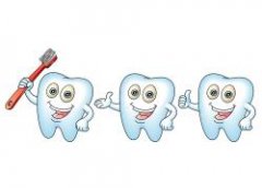 牙齒功能有乜？