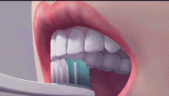 中華口腔醫學會發佈--標準刷牙方法