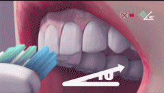 教你全世界最標準刷牙姿勢