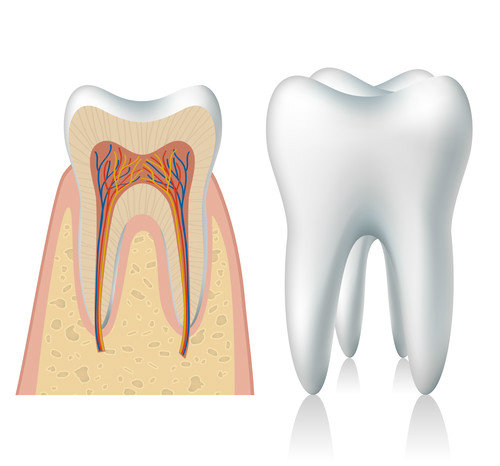 牙  痛——提防“牙 髓 炎”趁機而入