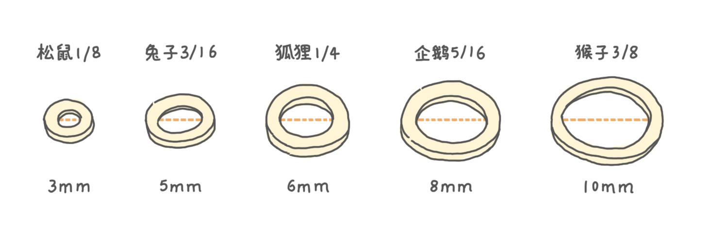 橡皮筋3.jpg